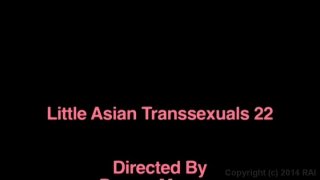 Little Asian Transsexuals Vol. 22 - Scena5 - 6