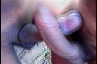 18 And Transsexual 7 - Escena3 - 4