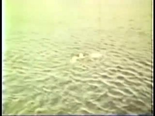 Peepshow Loops 586: &#39;70s &amp; &#39;80s (All Color) - Scena7 - 2