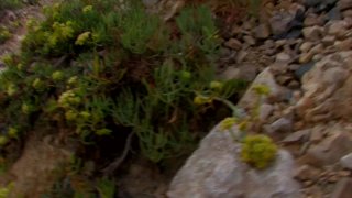 Mein geilster Urlaubsfick 9 - Scene2 - 1