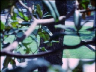 Lost Films of Orita De Chadwick, The - Scena10 - 1