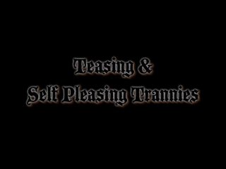 Teasing &amp; Self Pleasing Trannys - Szene1 - 1