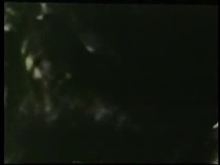 Peepshow Loops 391: 1970&#39;s, All Color - Cena10 - 4
