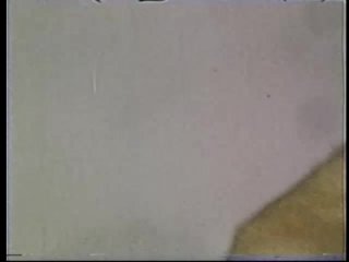 Peepshow Loops 355: &#39;70s &amp; &#39;80s (All Color) - Scena2 - 2