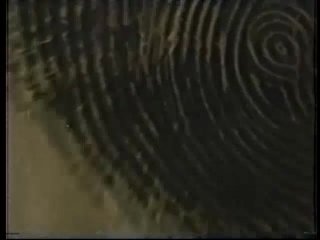 Peepshow Loops 355: &#39;70s &amp; &#39;80s (All Color) - Scena4 - 1