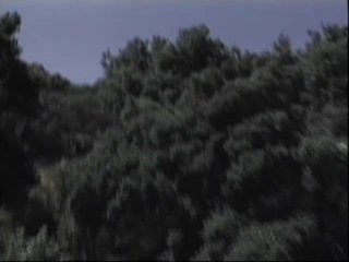 Licensed to Thrill - Scène5 - 1