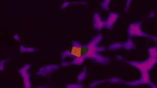 Ass Girls 1 - Scene3 - 1