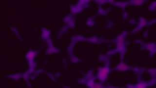 Ass Girls 1 - Scene5 - 1