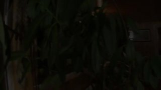 Ohne Hoeschen Vol. 32 - Joline - Hobbyhure Aus Leidenschaft! - Scena2 - 1