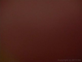 ATK Blonde &amp; Hairy Vol. 1 - Scene4 - 6