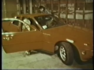 Peepshow Loops 318: &#39;70s &amp; &#39;80s (All Color) - Cena4 - 2