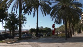 Mallorca Connection 4 - Scena1 - 1
