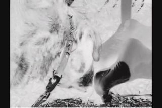 Lady Fellatio: In The Dog House - Scena5 - 3