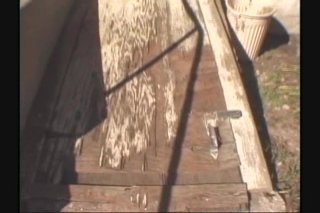 Lady Fellatio: In The Dog House - Scena9 - 1