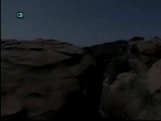 Forget The Birds And Fuck Me - Scène1 - 1