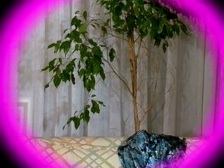 Teresa Orlowski: Foxy Lady 5 - Scene1 - 6