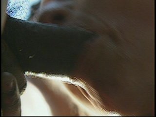 Stuff Your Face 3 - Scene1 - 3