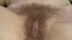 Captura de 'Seattle Hairy Girls 71 & 72' nº 134