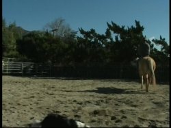 Captura de 'Barely Legal #46' nº 100