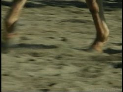 Captura de 'Barely Legal #46' nº 101