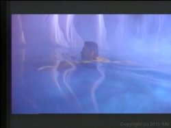 Captura de 'Ginger Lynn's Sluts' nº 71