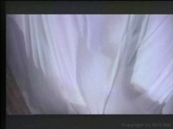 Captura de 'Ginger Lynn's Sluts' nº 72