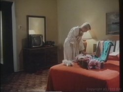 Captura de 'Ginger Lynn's Sluts' nº 121