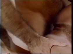 Captura de 'Ginger Lynn's Sluts' nº 20