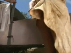 Captura de 'A Train 5' nº 48