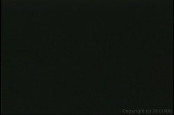 'Big Boob Bangeroo 13' screenshot nº 1