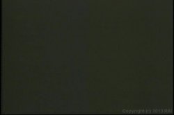 'Big Boob Bangeroo 13' screenshot nº 2