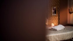 Captura de 'Sexclusive Spa' nº 60