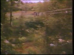 Captura de 'Little Girls Lost Triple Feature - L.A. Girls' nº 6