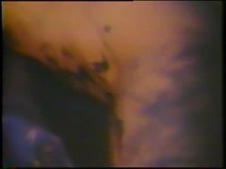 Captura de 'Little Girls Lost Triple Feature - L.A. Girls' nº 93