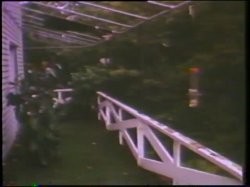 Captura de 'Little Girls Lost Triple Feature - L.A. Girls' nº 11