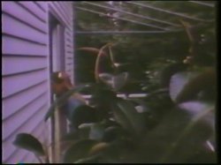 Captura de 'Little Girls Lost Triple Feature - L.A. Girls' nº 17