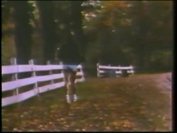 Captura de 'Little Girls Lost Triple Feature - L.A. Girls' nº 2