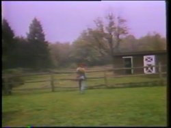 Captura de 'Little Girls Lost Triple Feature - L.A. Girls' nº 21