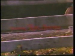Captura de 'Little Girls Lost Triple Feature - L.A. Girls' nº 3