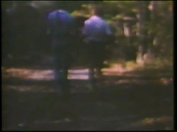 Captura de 'Little Girls Lost Triple Feature - L.A. Girls' nº 4