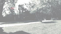 Captura de 'Whoregasm' nº 1