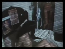 'Lady On The Couch' screenshot nº 54