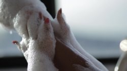 'Fill Me With Your Orgasm 2' screenshot nº 7