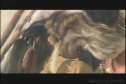 Captura de 'Hot 4 Twat' nº 1
