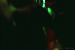Captura de 'Lesbian Spotlight: London Keyes' nº 61