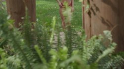 Captura de 'Sexual Desires Of Paige Owens, The' nº 68