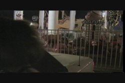 Captura de 'Nightlife 2' nº 10