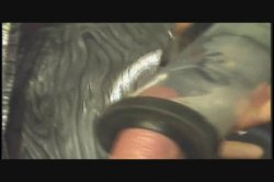 'T.T. Boy's Greatest Hits' screenshot nº 119