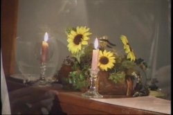 'Spring Break Beauties' screenshot nº 71