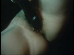 Captura de 'Gorgeous Blondes From The Golden Age Of Porn Vol. 2' nº 105